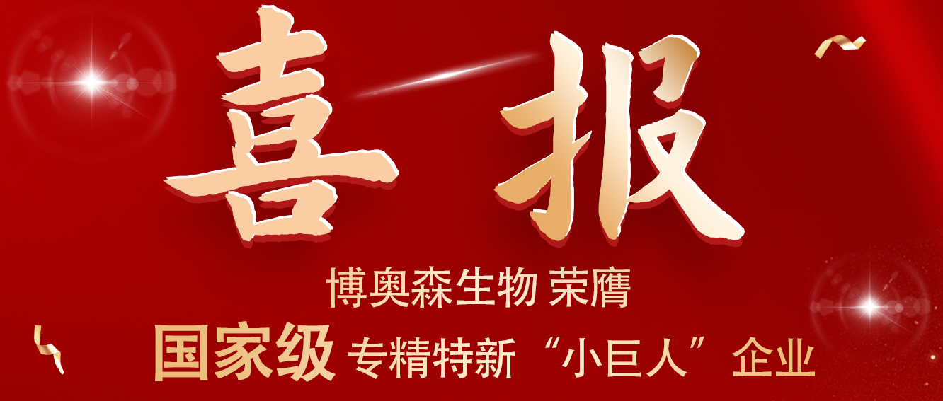 修饰抗体